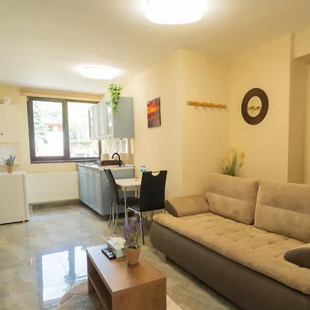 Ndl Cluj-Napoca