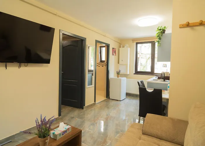 Ndl * Клуж-Напока